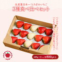 【ふるさと納税】《数量限定》満足3種食べ比べセット(ミルキーベリー、スカイベリー、とちあいか)400g×2パック 800g|いちご イチゴ 苺 先行予約 栃木県 果物 くだもの フルーツ 新鮮 贈答 ギフト 高級 食べ比べ ※2026年2月上旬~4月中旬頃に順次発送予定