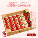 【ふるさと納税】《数量限定》大満足4種食べ比べセット(とちおとめ、ミルキーベリー、とちあいか、スカイベリー)400g×2パック 800g |いちご イチゴ 苺 先行予約 栃木県 果物 くだもの フルーツ 新鮮 贈答 ギフト 高級 食べ比べ ※2026年2月上旬~4月中旬頃に順次発送予定