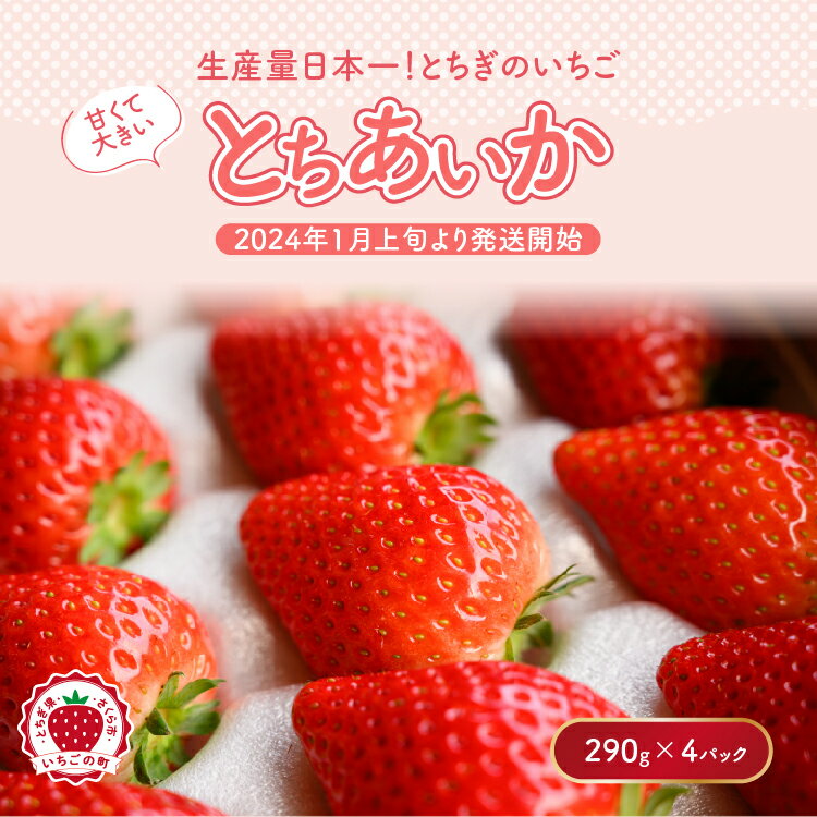 【ふるさと納税】【先行予約】いちご　とちあいかセット　290g×4パック（1.1kg以上）※着日指定不可※2024年1月上旬～5月下旬頃に順次発送予定