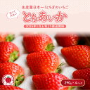 【ふるさと納税】【先行予約】いちご　とちあいかセット　290g×4パック（1.1kg以上）※着日指定不可※2024年1月上旬～5月下旬頃に順次発送予定