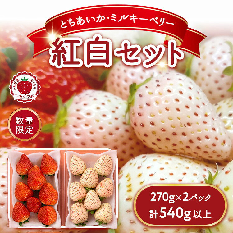 [数量限定]紅白セット(とちあいか・ミルキーベリー) 270g×2パック 540g以上 |いちご イチゴ 苺 先行予約 栃木県 果物 くだもの フルーツ デザート とちあいか ミルキーベリー 新鮮 贈答 ギフト 食べ比べ ※2027年1月〜発送