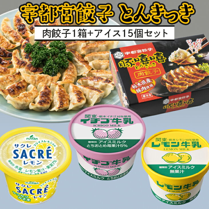 【ふるさと納税】とんきっき肉餃子1箱+アイス15個セット※着日指定不可のサムネイル