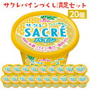 【ふるさと納税】サクレパインづくし満足セット 20個|アイス かき氷 シャーベット デザート※着日指定不可※離島への配送不可