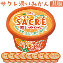 【ふるさと納税】◇期間限定◇サクレ濃いみかん 10個セット | フタバ食品 アイス かき氷 デザート ※離島への配送不可