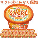 【ふるさと納税】◇期間限定◇サクレ濃いみかん 20個セット | フタバ食品 アイス かき氷 デザート ※離島への配送不可