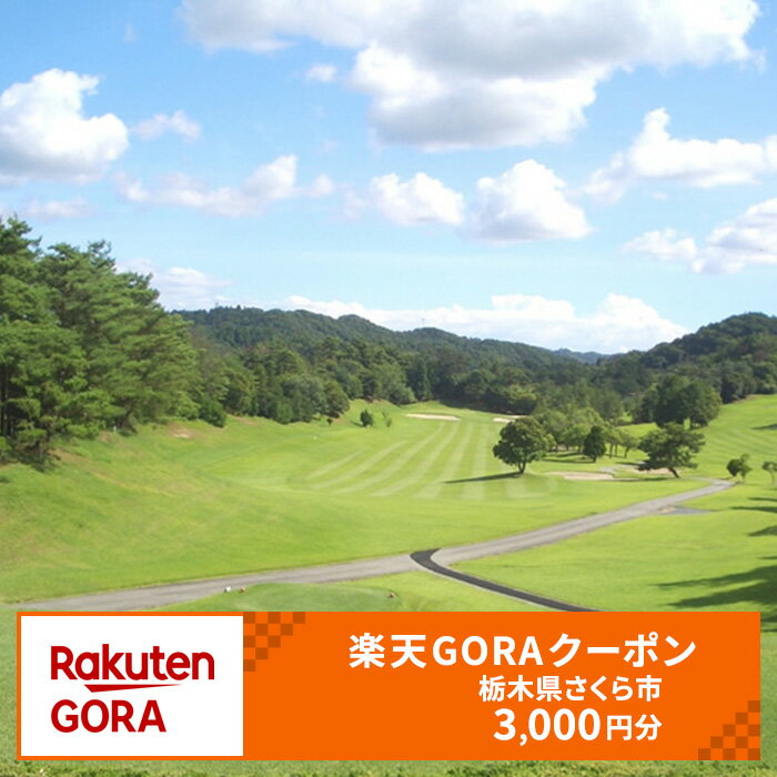 【ふるさと納税】栃木県 さくら市の対象ゴルフ場で使える楽天GORAクーポン 寄付額10,000円(クーポン3,000円)のサムネイル