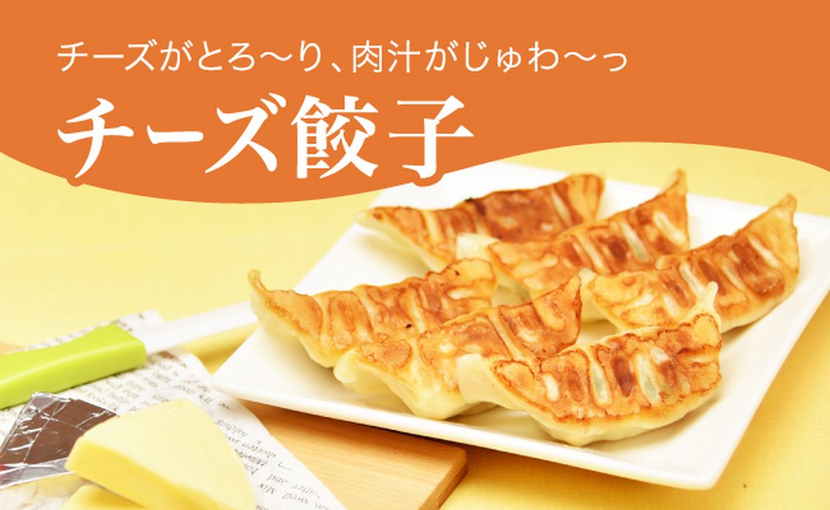 【ふるさと納税】「宇都宮餃子館」チーズ餃子 960g(48個)|ギョーザ 冷凍餃子 冷凍食品 グルメ 食品 惣菜 中華惣菜 点心 中華 送料無料
