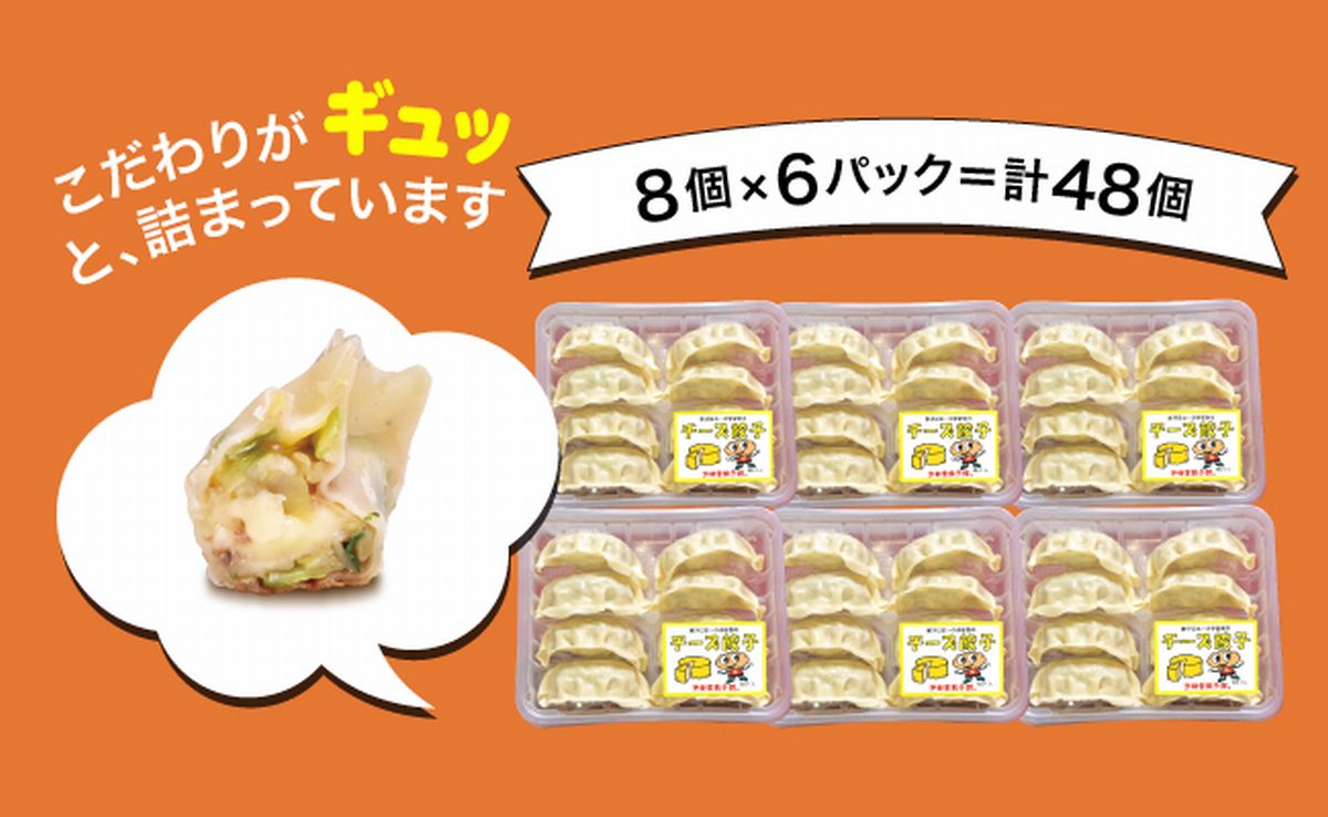 【ふるさと納税】「宇都宮餃子館」チーズ餃子 960g（48個）｜ギョーザ 冷凍餃子 冷凍食品 グルメ 食品 惣菜 中華惣菜 点心 中華 送料無料