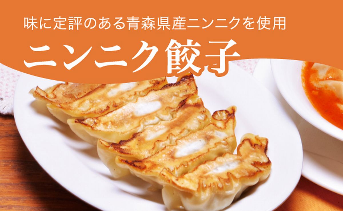 「宇都宮餃子館」ニンニク餃子 960g（48個）｜ギョーザ 冷凍餃子 冷凍食品 グルメ 食品 惣菜 中華惣菜 点心 中華 送料無料