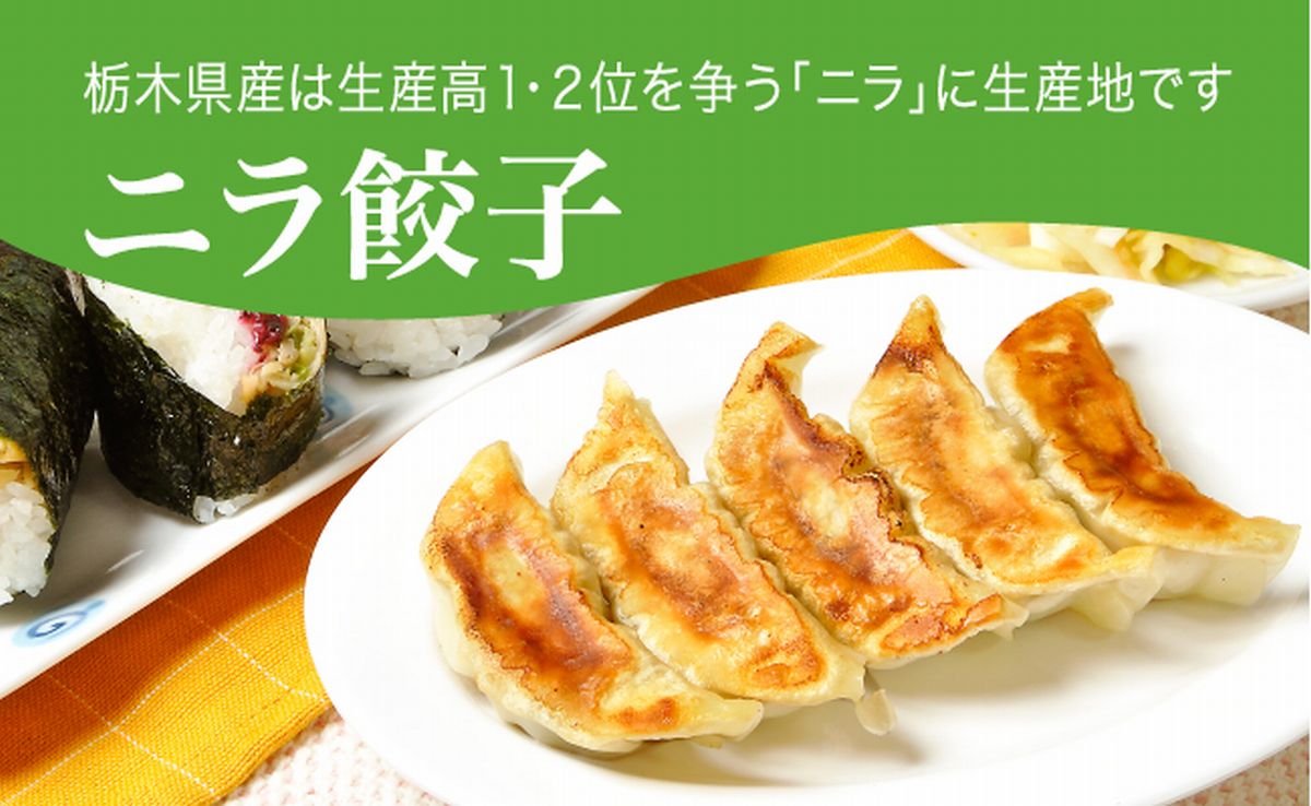 「宇都宮餃子館」ニラ餃子 960g（48個）｜ギョーザ 冷凍餃子 冷凍食品 グルメ 食品 惣菜 中華惣菜 点心 中華 送料無料