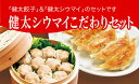 【ふるさと納税】「宇都宮餃子館」健太シウマイこだわりセット(餃子+シウマイ) 960g ギョーザ 焼売 冷凍餃子 冷凍焼売 冷凍食品 グルメ 食品 惣菜 中華惣...