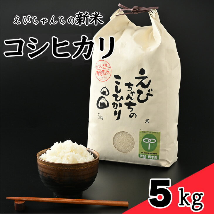 えびちゃんちの米 さくら市葛城産 5Kg≪令和5年産 米 お米 白米 ご飯 栃木県産 送料無料≫