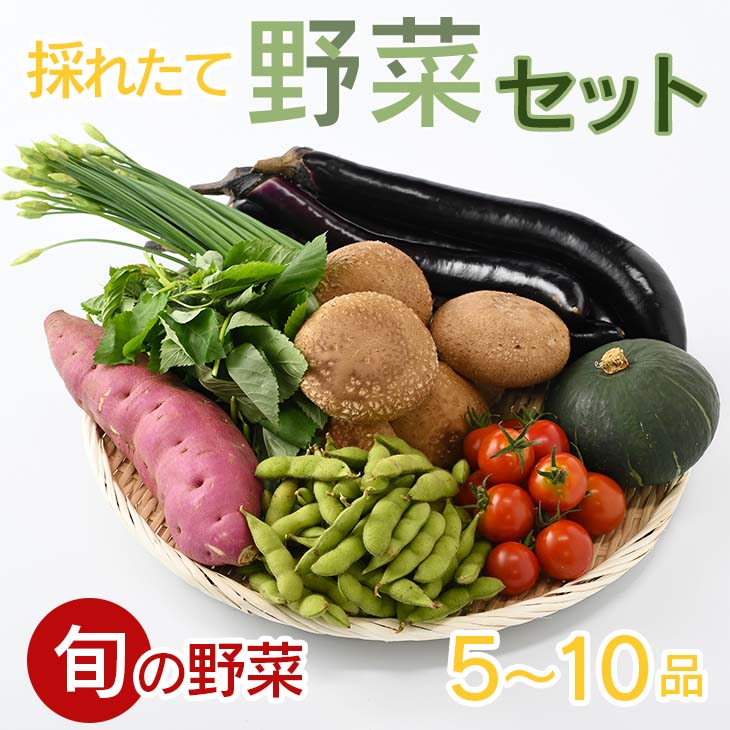 [産地直送]採りたて野菜セット