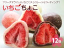 9位! 口コミ数「5件」評価「4.6」いちご ちょこ 12袋 ｜ 苺 イチゴ チョコ スイーツ ギフト 送料無料※着日指定不可