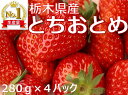 【ふるさと納税】＼レビューキャンペーン／《数量限定/残りわずか》【先行予約】とちおとめ　280g × ...