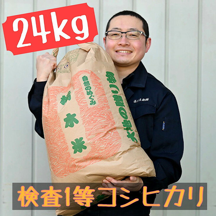 【ふるさと納税】栃木県産 コシヒカリ 玄米24kg【検査1等米・白米へも無料】