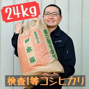 【ふるさと納税】栃木県産 コシヒカリ 玄米24kg【検査1等米・白米へも無料】