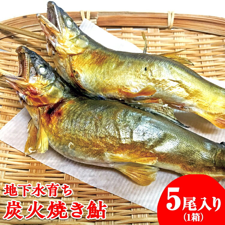 地下水育ち 炭火焼き鮎5尾入り