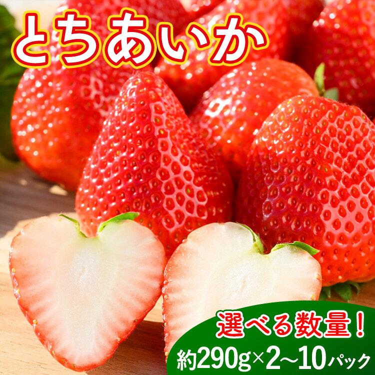 【ふるさと納税】《数量限定》いち