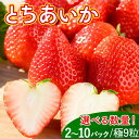 【ふるさと納税】\選べる内容/《数量限定》いちご(とちあいか) 290g×2~10パック 580g~2.9kg以上・(とちあいか 極)9粒 600g以上|先行予約 数量限定 栃木県 果物 くだもの フルーツ 苺 イチゴ ※2025年11月下旬~2026年3月下旬頃に順次発送予定