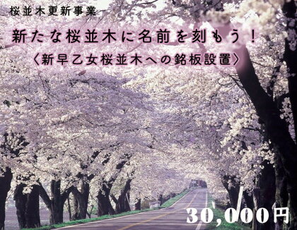 クラウドファンディング　新たな桜並木に名前を刻もう！〈新早乙女桜並木への銘板設置〉30,000円