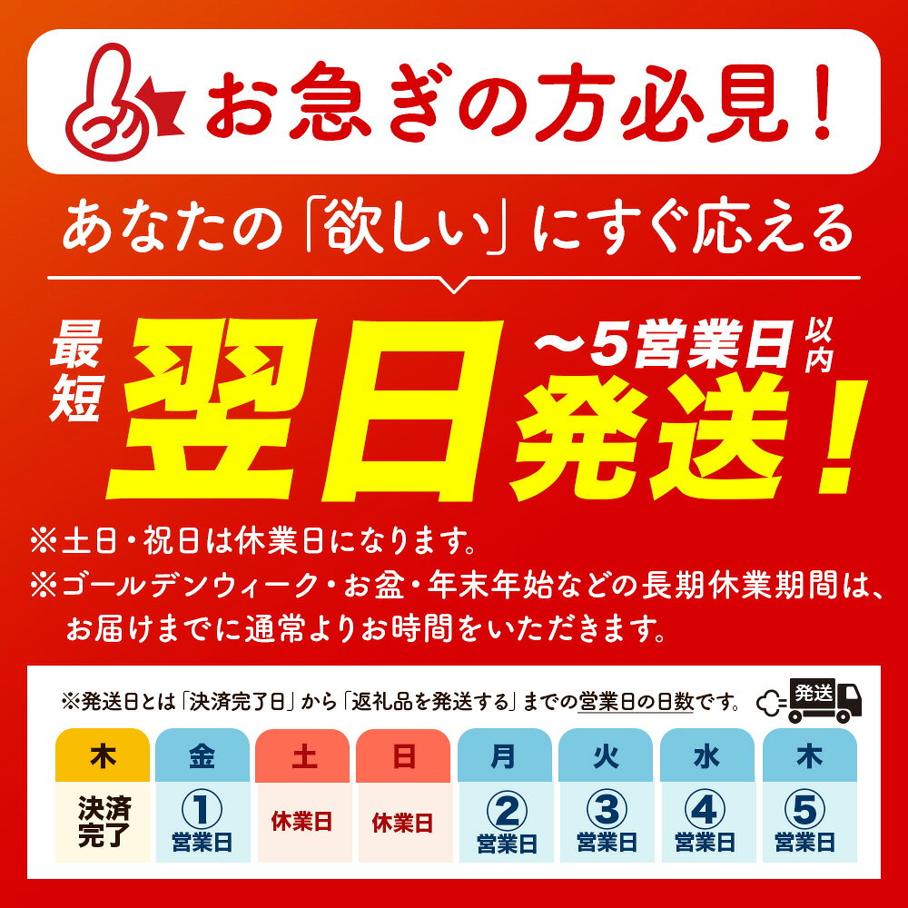 【ふるさと納税】＼選べる内容量／ 初摘限定　有明海産焼海苔　訳アリ商品、板のり！！美味しい味わいはそのまま！！【お中元】｜有明海産 焼きのり 全型 有明海苔 おにぎり 朝食 送料無料 訳あり
