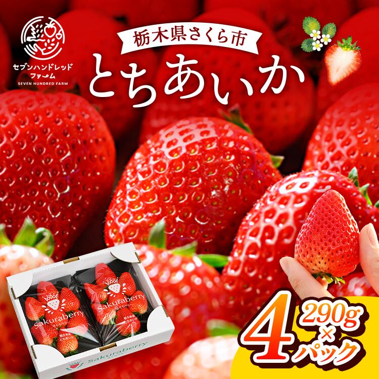 【ふるさと納税】〈数量限定〉【先行予約】さくら市産イチゴ（とちあいか）290g×4パック｜いちご イチゴ 苺 先行予約 栃木県 果物 くだもの フルーツ とちあいか 新鮮 贈答 ギフト ※2024年12月下旬～2025年3月下旬頃に順次発送予定のサムネイル