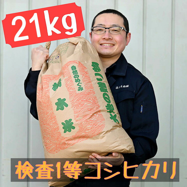 【ふるさと納税】栃木県産 コシヒカリ 白米21kg【検査1等米】...