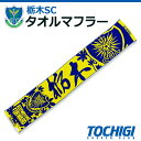 【ふるさと納税】栃木SCタオルマフラー