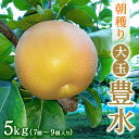 【ふるさと納税】朝穫り 大玉【豊水】5kg 7個~9個入り【9月15日受付終了】 梨 なし フルーツ 果物 数量限定 ※2025年9月上旬~9月下旬頃に順次発送予定 ※離島・沖縄への配送不可