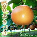 【ふるさと納税】朝穫り 大玉【あきづき】5kg 6個~8個入り【9月15日受付終了】梨 なし フルーツ 果物 数量限定 ※2025年9月中旬~9月下旬頃に順次発送予定 ※離島・沖縄への配送不可