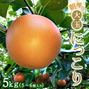 【ふるさと納税】朝穫り 大玉【にっこり】5kg 5個~6個入り【9月20日受付終了】 梨 なし フルーツ 果物 数量限定 ※2025年9月下旬~10月上旬頃に順次発送予定 ※離島・沖縄への配送不可