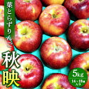 【ふるさと納税】葉とらずりんご【秋映】5kg 14個~18個入り【9月30日受付終了】 林檎 リンゴ フルーツ 果物 数量限定 ※2025年9月下旬~10月上旬頃に順次発送予定 ※離島・沖縄への配送不可