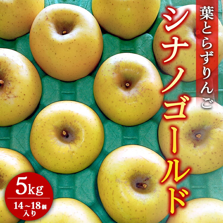 【ふるさと納税】葉とらずりんご【シナノゴールド】5kg　14