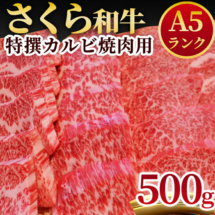 A5さくら和牛特撰カルビ焼肉用500g 肉 焼肉 国産牛 グルメ 送料無料