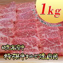 【ふるさと納税】日光高原牛特撰牛カルビ焼肉用1kg入 肉 霜降り 焼肉 国産牛 グルメ 栃木県 送料無料※着日指定不可