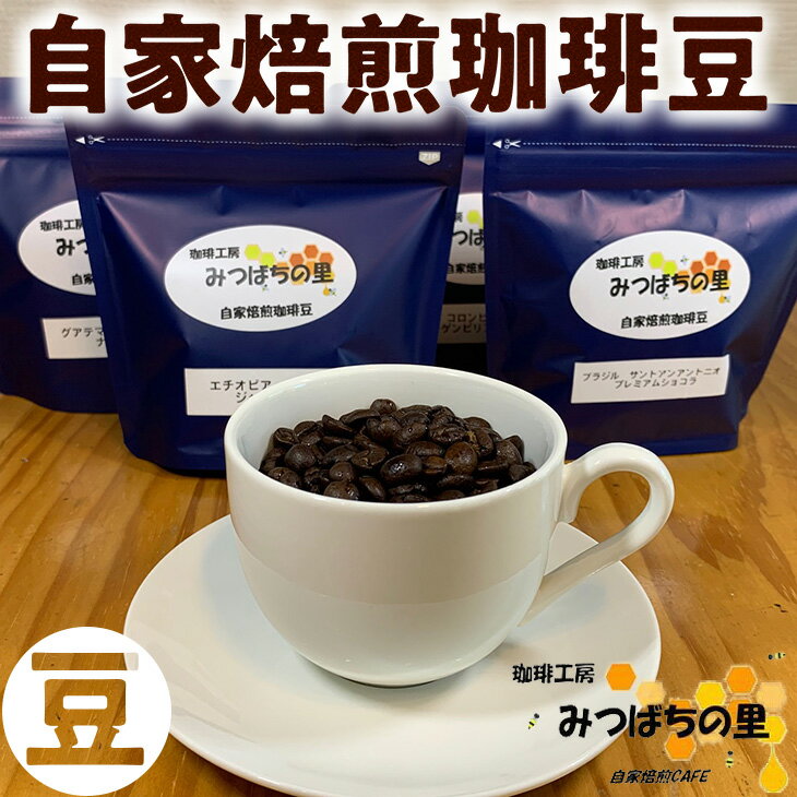 自家焙煎 珈琲豆 100g×4種類 豆 | 厳選 コーヒー ブラジル コロンビア グアテマラ エチオピア