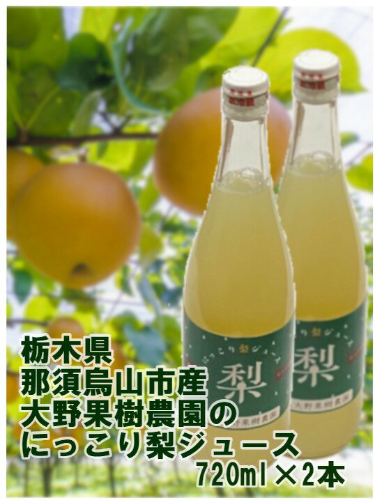 8-7 栃木県那須烏山産にっこり梨100%ジュース2本セット