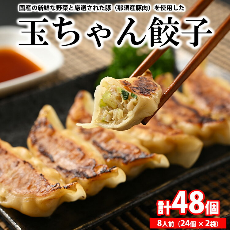 8-3 玉ちゃん餃子8人前(24個×2袋) ぎょうざ ギョーザ おつまみ おかず 惣菜※着日指定不可