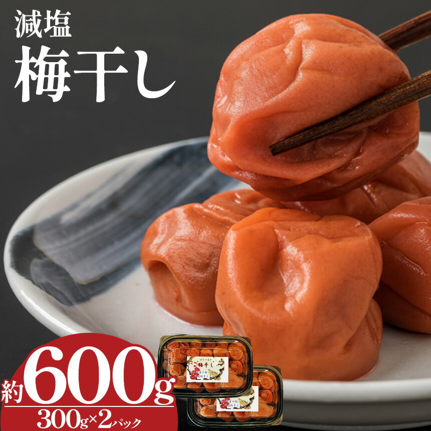 【ふるさと納税】 【栃木県産】梅干し | 梅 梅干し 減塩 手摘み 天然 天日干し 手作り 塩漬け 栃木県 しもつけ市 下野市