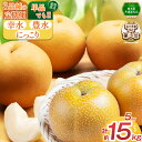 11位! 口コミ数「0件」評価「0」【先行予約】選べる!梨 にっこり 幸水 豊水 5kg 単品 / 3回 定期便 | 【栃木県共通返礼品】 大 人気 レビュー リピート 果物 フルーツ たっぷり 果汁 果肉 ジューシー 甘い 高糖度 柔・・・