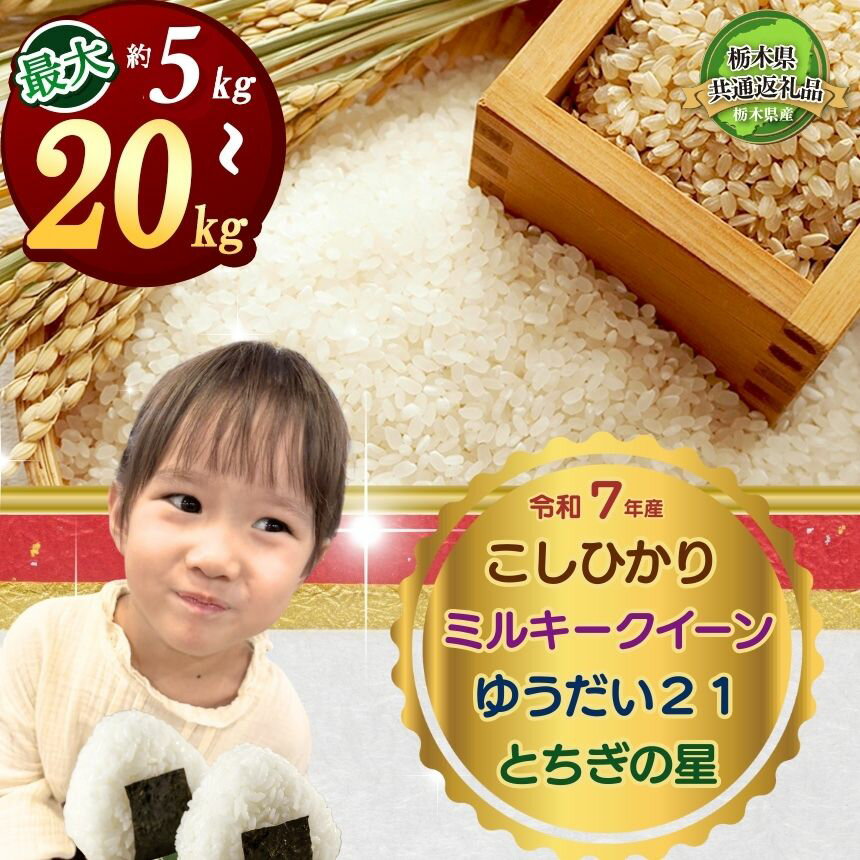 【ふるさと納税】定期便 選べる 令和7年産 米 お米 こめ コメ こしひかり コシヒカリ ミルキークイーン ゆうだい21 とちぎの星 5kg 10k..