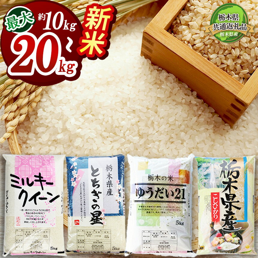 【ふるさと納税】栃木県産 コシヒカリ ミルキークイーン ゆうだい21 とちぎの星 10kg 20kg (5kg×2袋,4袋)【先行予約】【9月初旬発送】【選べる品種・内容量】【栃木県共通返礼品】| ふるさと納税 お米 米 精米 白米 大粒 お買い得 送料無料 下野市 限定 スーパーセールのサムネイル