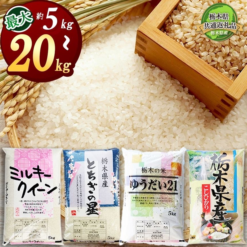 【ふるさと納税】定期便 選べる 令和7年産 米 お米 こめ コメ こしひかり コシヒカリ ミルキークイーン ゆうだい21 とちぎの星 5kg 10kg 20kg...