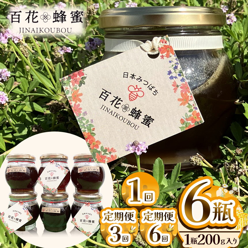 【ふるさと納税】 はちみつ 日本蜂蜜の百花蜂蜜 6瓶 定期便 限定 【選べる定期便】【数量限定】| はちみつ ハチミツ ミツバチ 濃厚 シロップ 無添加 栃木県 下野市 送料無料 スーパーセール