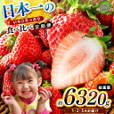 【ふるさと納税】【栃木県共通返礼品】【定期便3回】日本一のいちごたっぷり食べ比べ定期便 | 定期便 送料無料 とちあいか いちご フルーツ 甘い ジューシー苺 ...