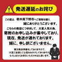 栃木県下野市の画像2