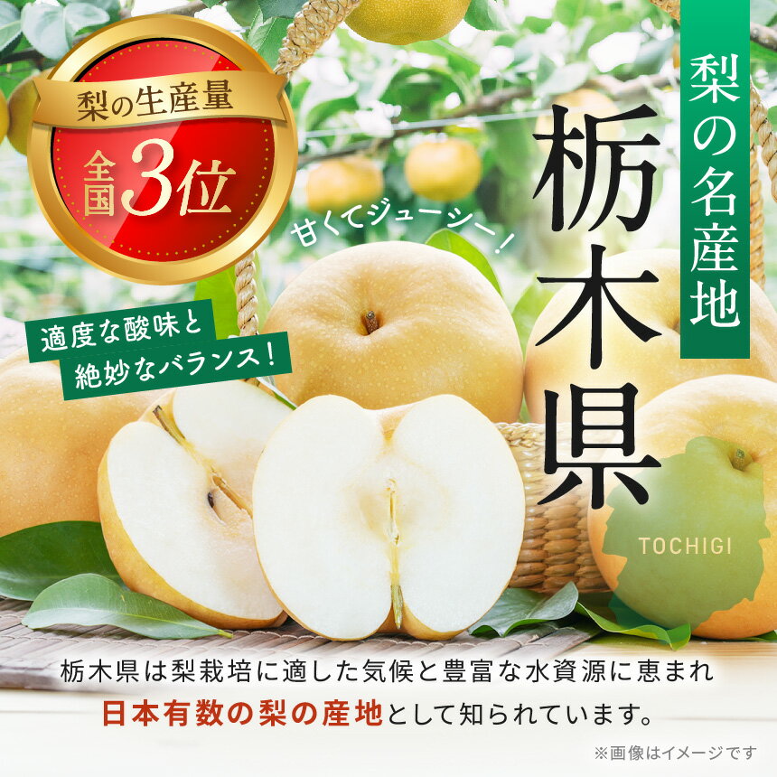【ふるさと納税】大房シャインマスカット　1房700g以上　茨城県内共通返礼品:かすみがうら市【配送不可地域：離島・沖縄県】【1561551】