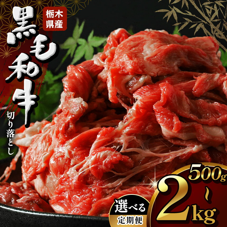 国産 牛肉 切り落とし 大容量 小分け 栃木県産牛 黒毛和牛 500g 1kg 1.5kg 2kg | ボリューム 黒毛 和牛 焼肉 とろける 霜降り 赤身 切り落とし 年末 しゃぶしゃぶ すき焼き 牛丼 ビーフカレー おすすめ 栃木県 下野市 しもつけ市