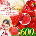 【ふるさと納税】【先行予約】 何度も食べたくなる! 高級 紅白 いちご 食べ比べセット | いちご イチゴ フルーツ 果物 旬 とちあいか とちおとめ スカイベリー とちひめ ミルキーベリー 美味しい 食べ比べ 特産品 ふるさと 納税 送料無料 栃木県 下野市